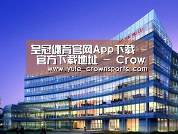 案例展示五